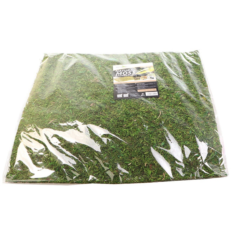 Repti-Zoo Natural Moss Back&Bottom - tło i podłoże z mchu 45x45cm